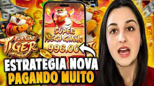 futtebol ao vivo